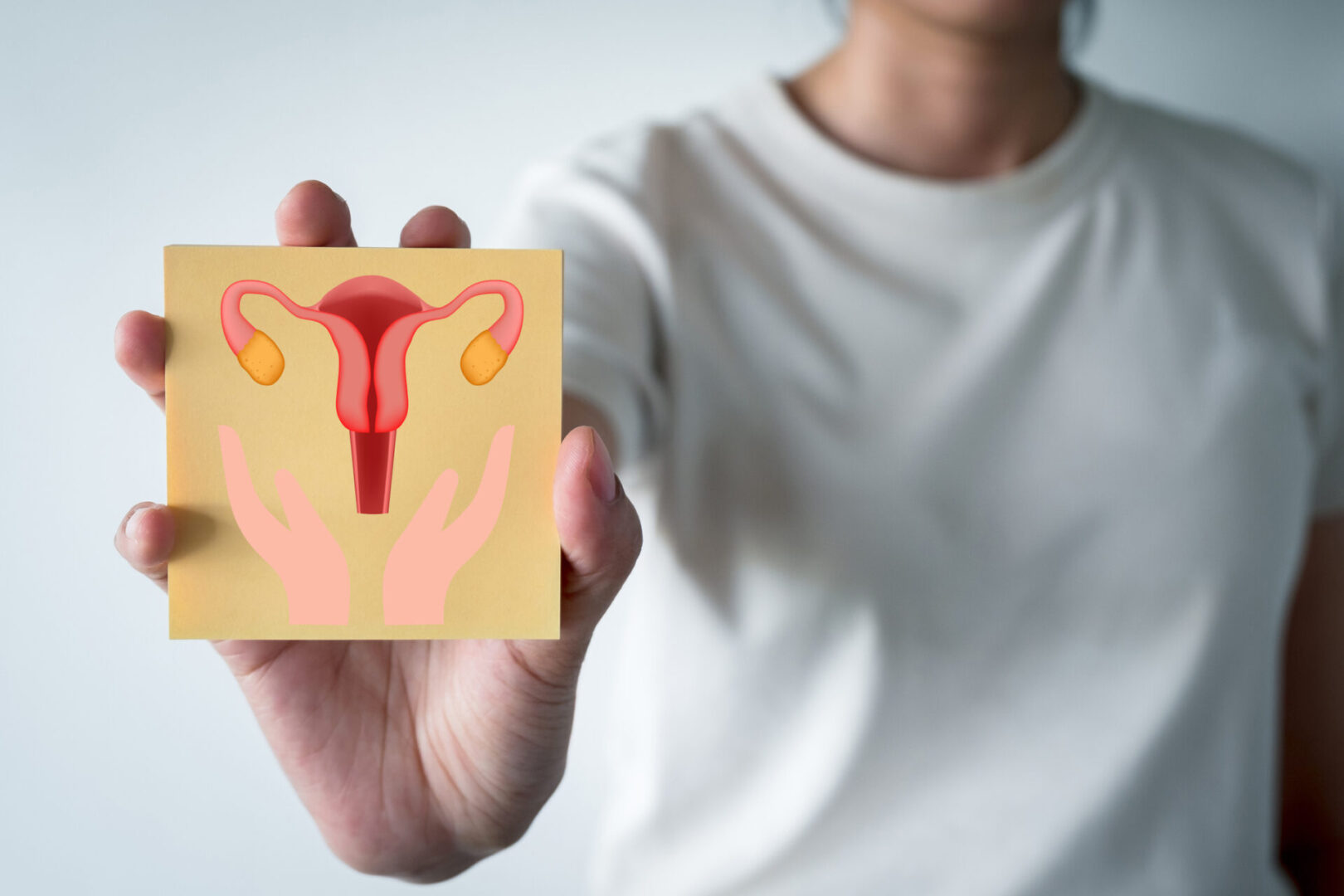 Close-up of a person holding an illustration of the uterus and ovaries, symbolizing women's reproductive health, gynecology, and anatomy in a conceptual representation of feminine health care.